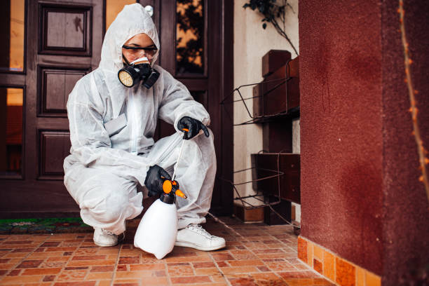Reliable Cockroach Control contractor in Watseka, IL by Nex Pest Control